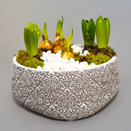 Aranjament de primavara cu zambile si narcise [2]