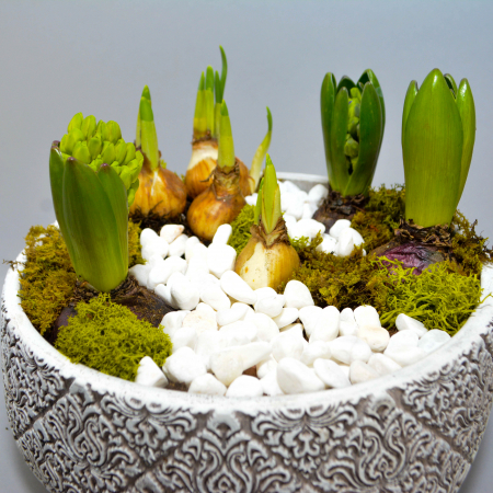 Aranjament de primavara cu zambile si narcise [3]