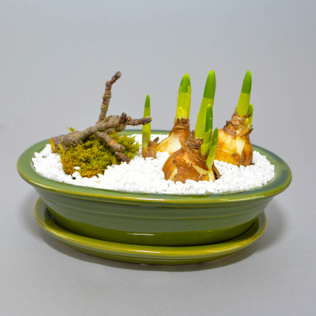 Aranjament de primavara cu narcise [1]