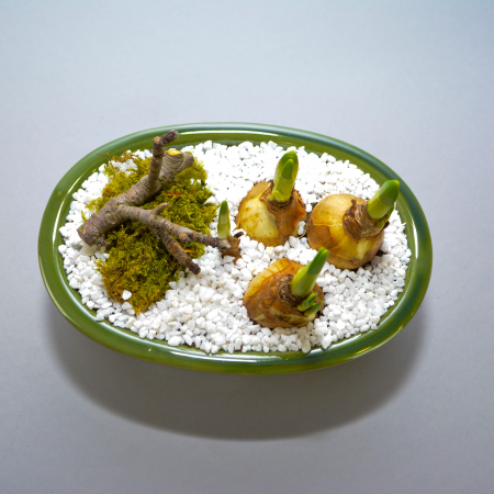 Aranjament de primavara cu narcise [1]