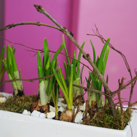 Aranjament de primavara [2]