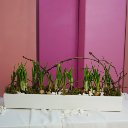 Aranjament de primavara [1]