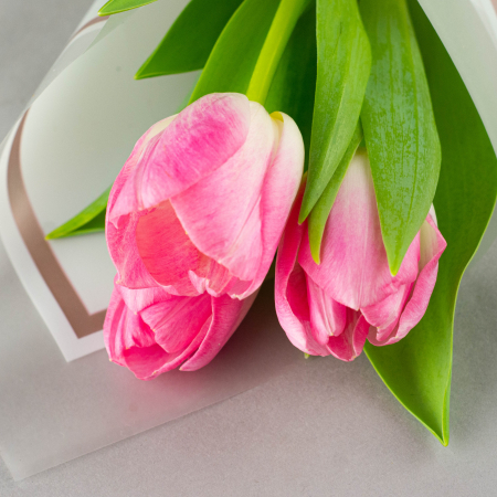 Cadou 1-8 martie [2]