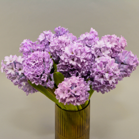 Buchete de flori pentru Iubite - Buchet de primavara cu zambile