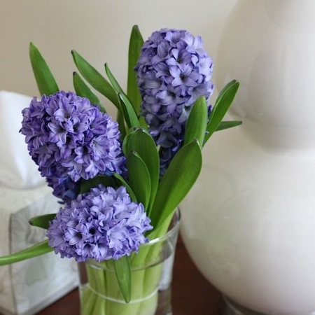 Flori 8 martie - Cadou 1-8 martie