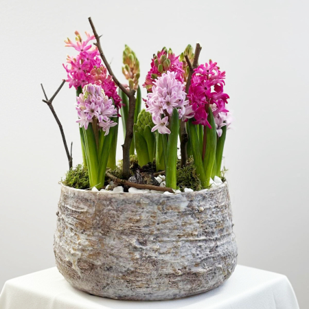 Bulbi de primavara - Cadou martie