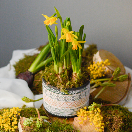 Cadou 1 martie pentru colege [2]