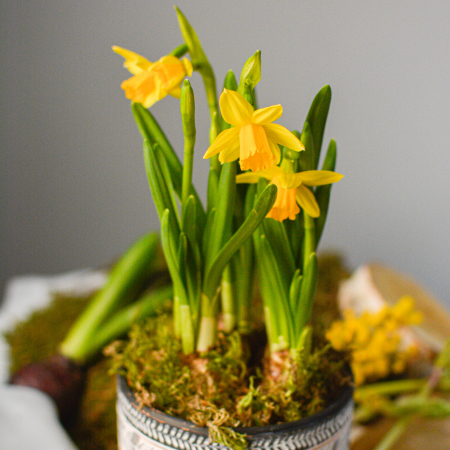 Cadou 1 martie pentru colege [1]