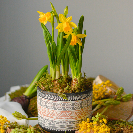 Cadou 1 martie pentru colege [0]