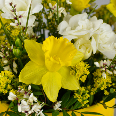 Cadouri 8 martie [2]