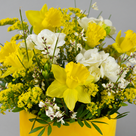 Cadouri 8 martie [1]