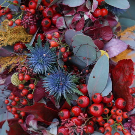 Coronita de toamna [3]