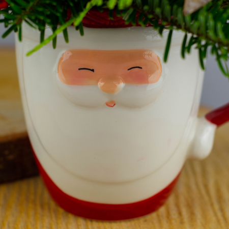 Cadou Mos Craciun [2]