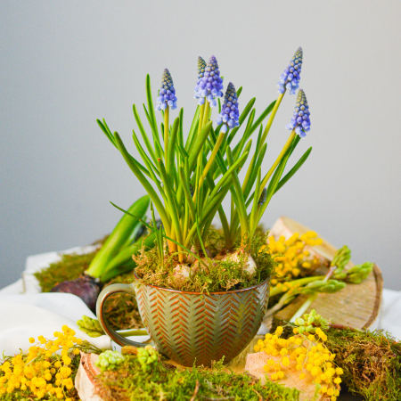 Aranjament cu bulbi [0]