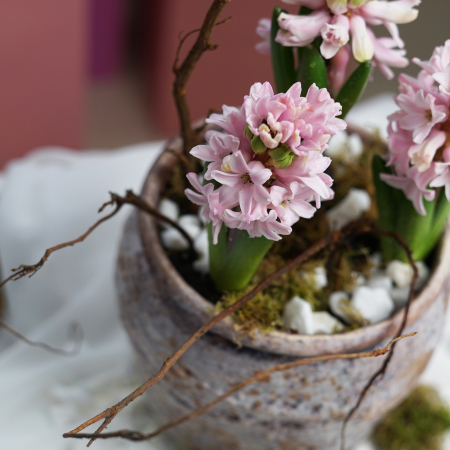 Aranjament cu bulbi [1]