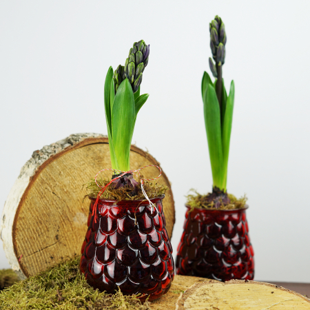 Cadou 1-8 martie [0]