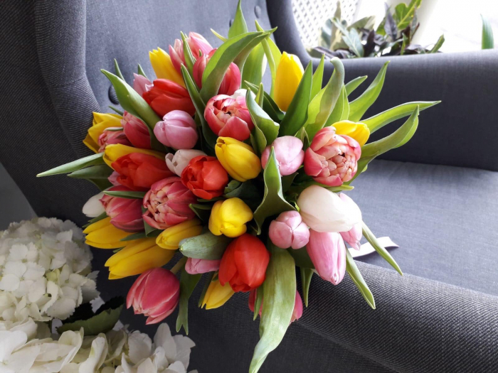 Buchet 31 lalele colorate [2]