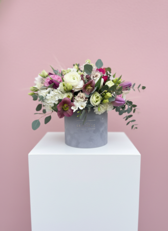 Produse - Cutie catifea Amerie