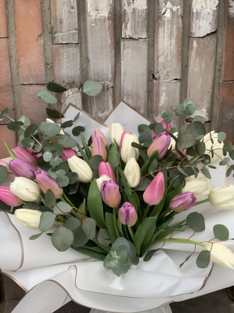 Buchet 35 de lalele [1]