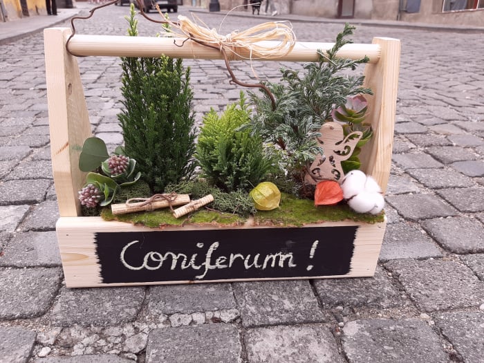 Coniferum! [4]