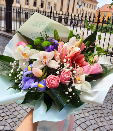 Va recomandam - Beautiful day!