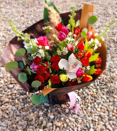 Va recomandam - Belle