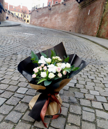 Sibiu's Downtown [3]