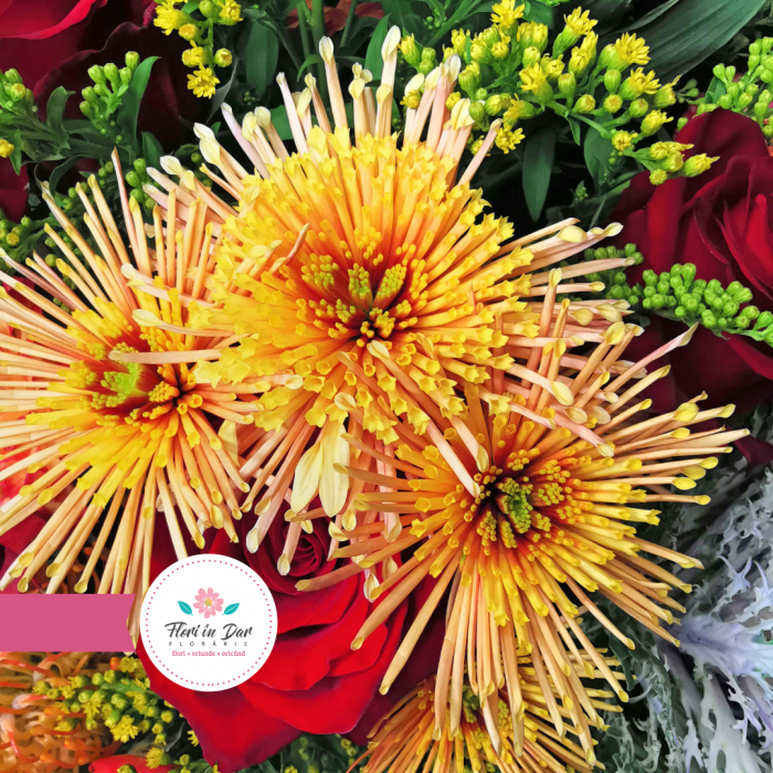 Aranjament trandafiri alstroemeria brasica crizantema gerbera leucadendron [5]