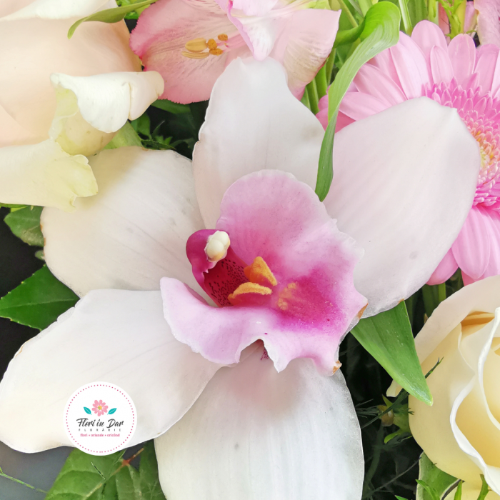 Aranjament trandafiri cimbidium ranunculus lalele minigerbera alstroemeria [4]