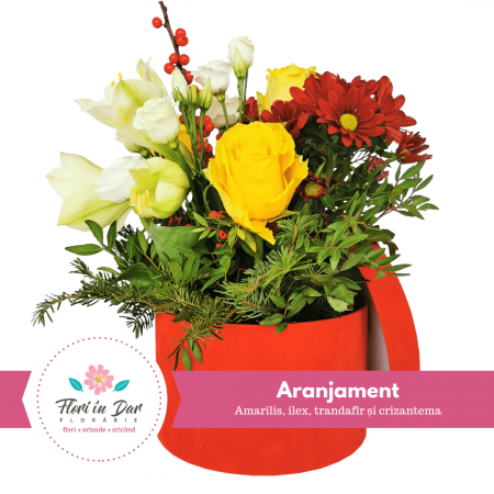 Aranjamente - Aranjament floral cu amarilis, ilex, trandafir și crizantema cu livrare Roman