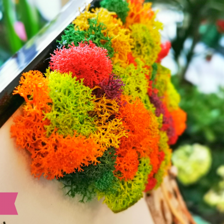 Tablou licheni cu mesaj personalizat [2]