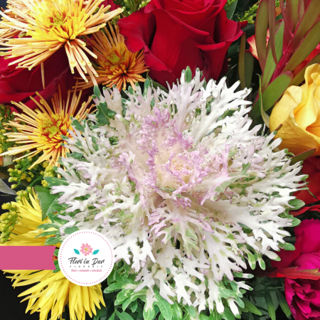 Aranjament trandafiri alstroemeria brasica crizantema gerbera leucadendron [3]