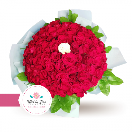 Buchete - Buchet 81 trandafiri
