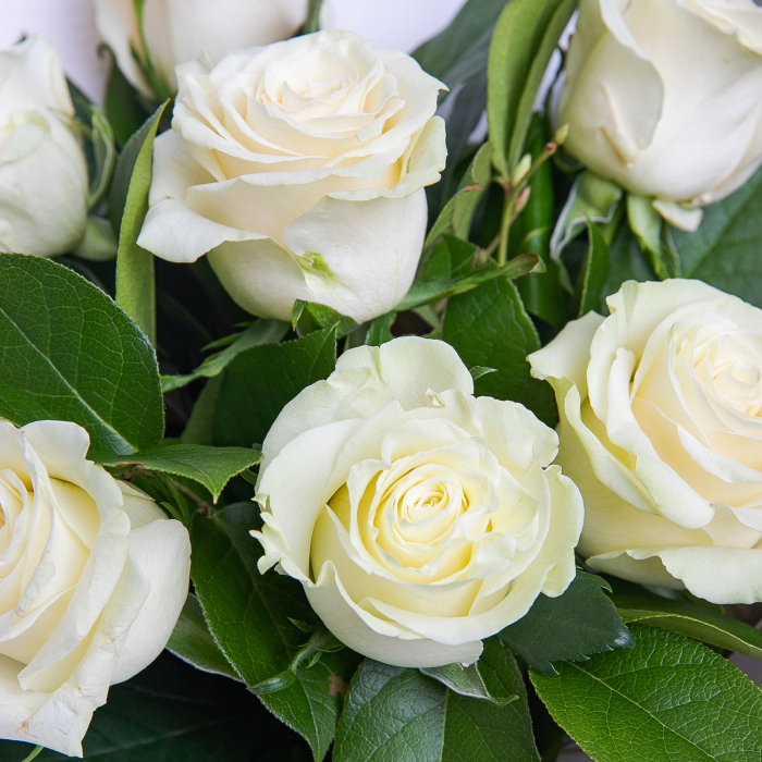 Buchet de flori cu 7 trandafiri albi [2]