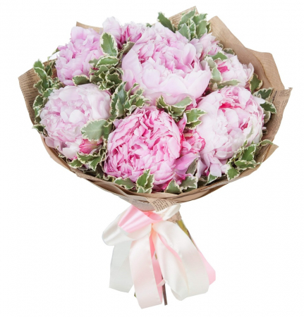 Buchete mixte - Buchet 7 bujori roz