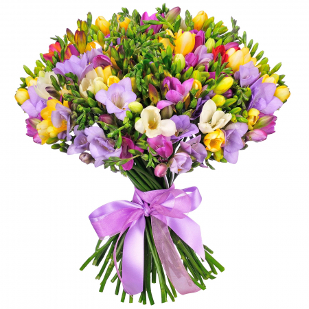 Buchete de flori - Buchet mix de 51 frezii