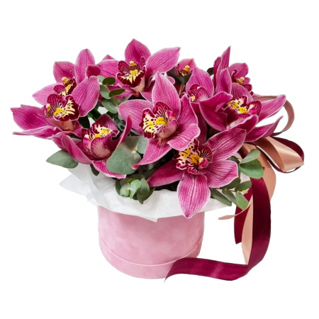 Aranjamente florale - Cutie cu cymbidium