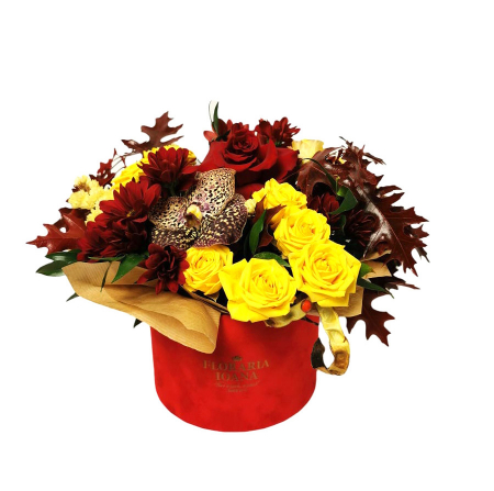 Aranjamente florale in cutii - Cutie cu minirosa