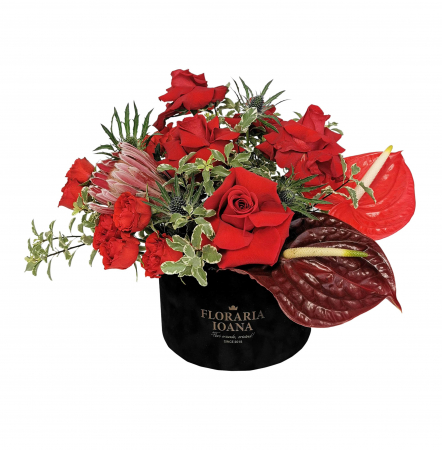Flori de Sf Valentin - Cutie cu trandafiri si anthurium