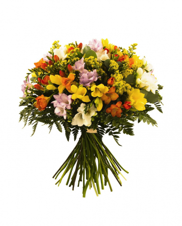Buchete de flori - Buchet 35 frezii
