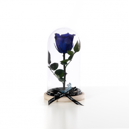 Trandafir Criogenat Albastru [1]