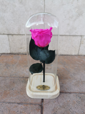 Trandafir Criogenat Roz [0]