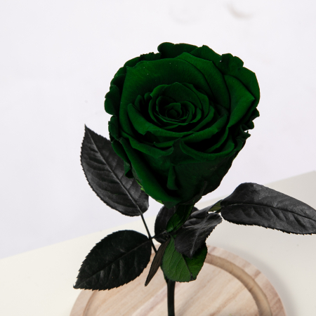 Trandafir Criogenat Verde [0]