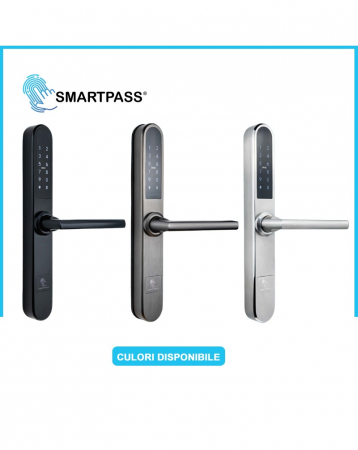 PARIS încuietoare inteligentă cu Bluetooth, WiFi, PIN, card RFID, cheie [2]