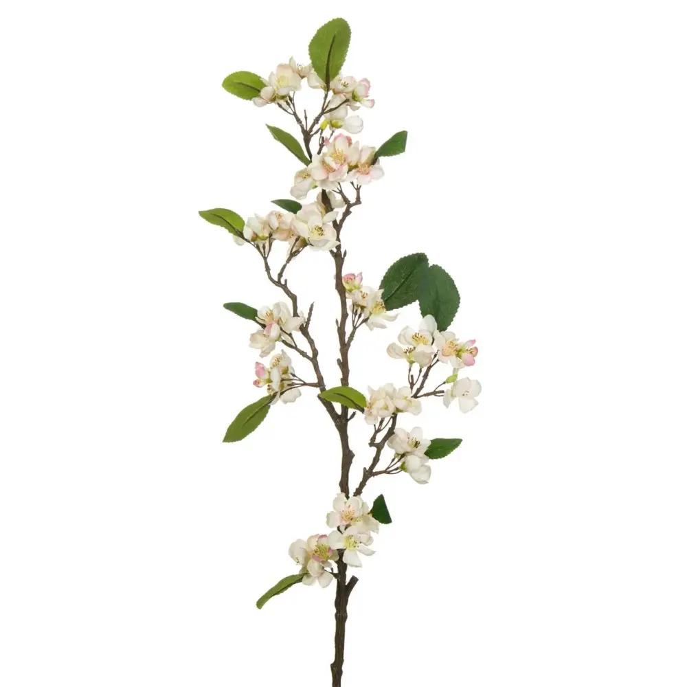 Floare artificiala de mar alba, foglia