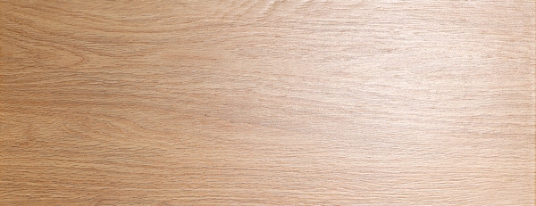 Gresie portelanata aspect lemn, 50.2×20.1 cm foglia.ro