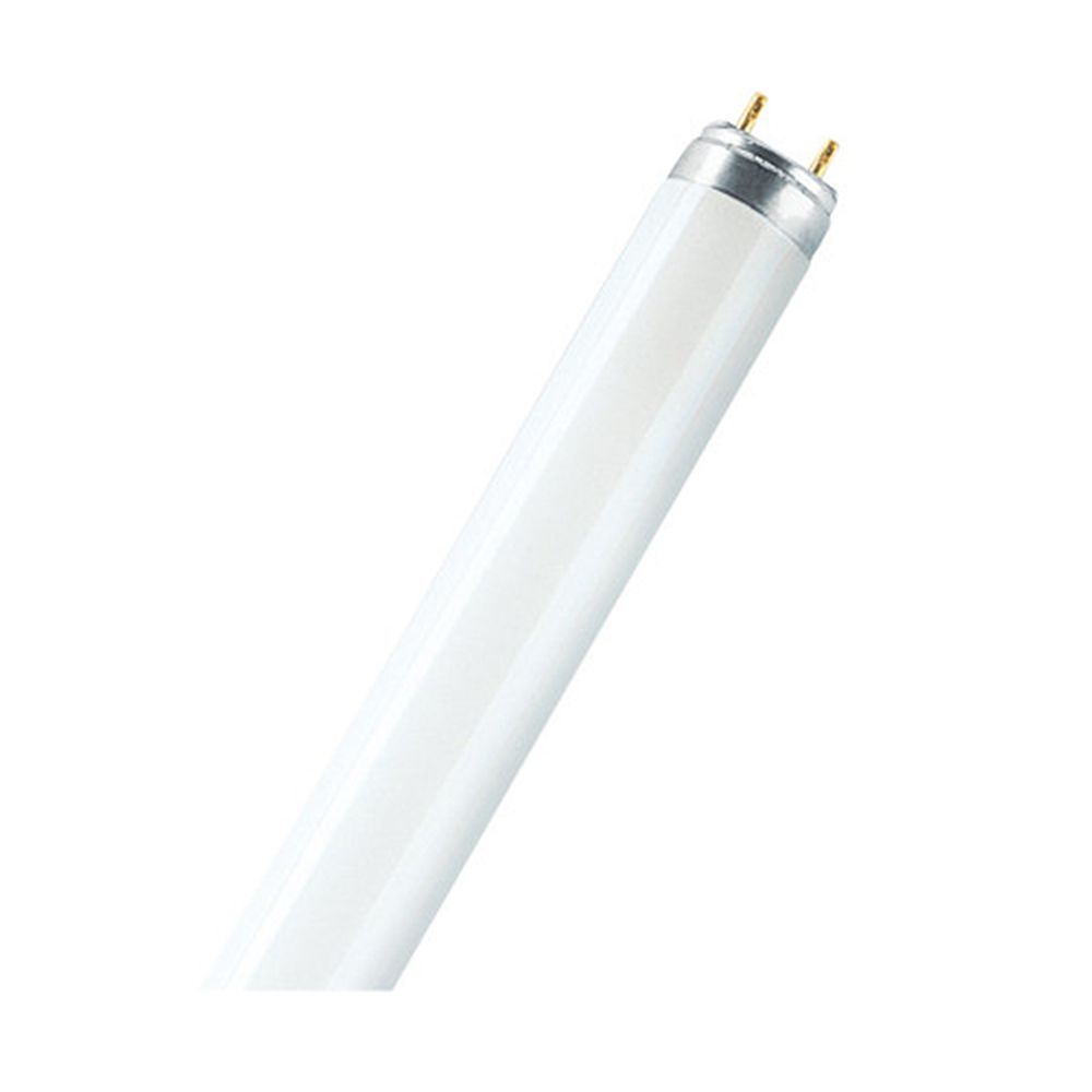 Tub fluorescent 36W, G13, 3250 lumeni, lumina rece