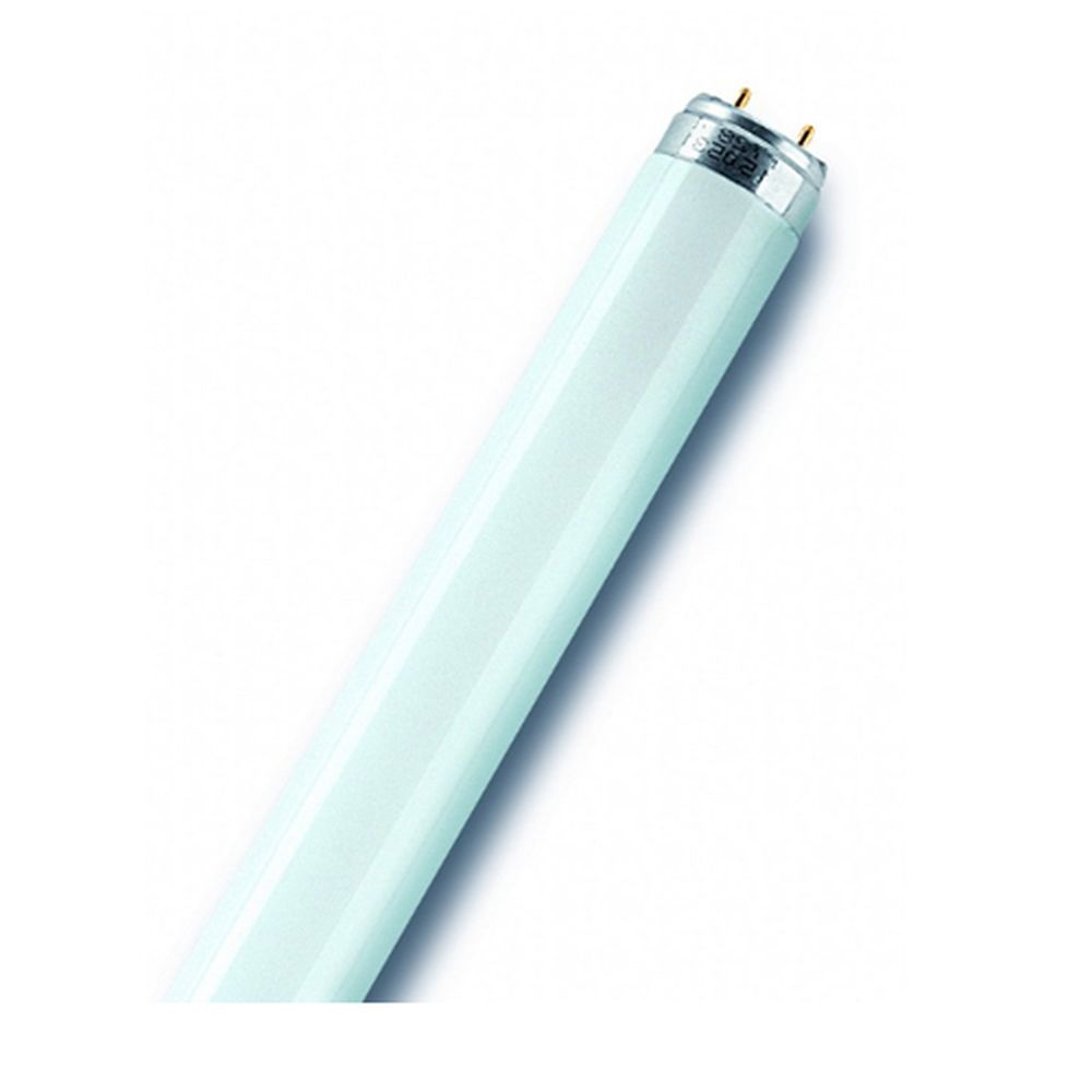 Tub fluorescent 10w, g13, 650 lumeni, lumina calda
