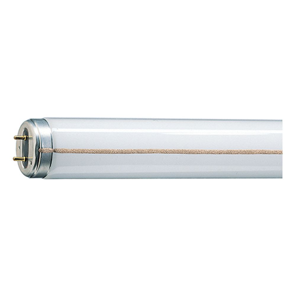 Tub fluorescent Philips, 40W, G13, 2850 lumeni, lumina rece