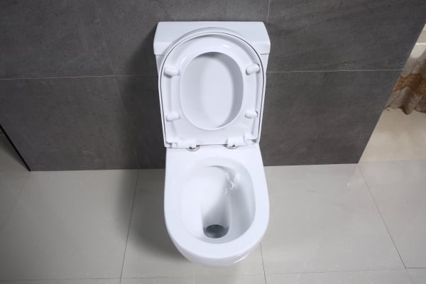 Vas wc Rondo duobloc cu capac soft close inclus [3]